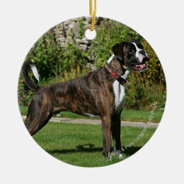 Adorno De Cerámica Postura Brindle de la exposición canina del (Frente)