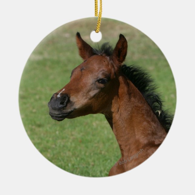 Adorno De Cerámica Potro árabe que se sienta (Frente)