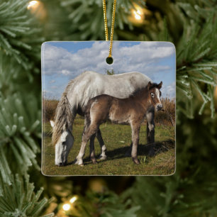 Adorno De Cerámica Potro de caballo de Camargue con madre