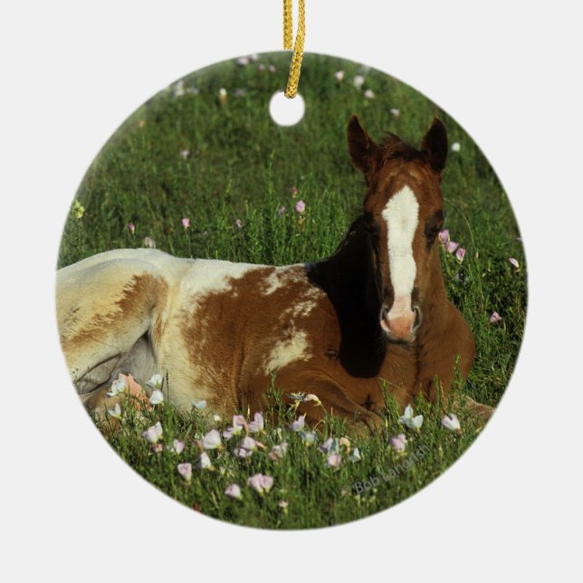 Adorno De Cerámica Potro del Appaloosa que coloca en flores (Frente)