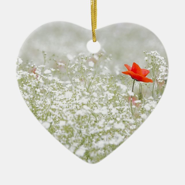 Adorno De Cerámica Prado blanco rojo de la flor romántica de la (Frente)