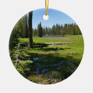 Adorno De Cerámica Prado de Yosemite con estrellas fugaces