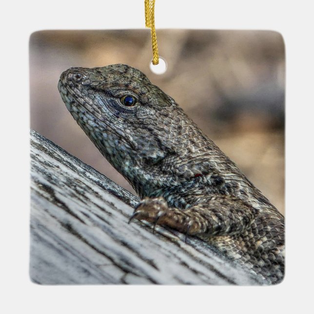 Adorno De Cerámica Prairie Lizard (Anverso)