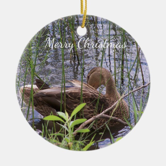 Adorno De Cerámica Predicación del pato en los carrizos (Frente)