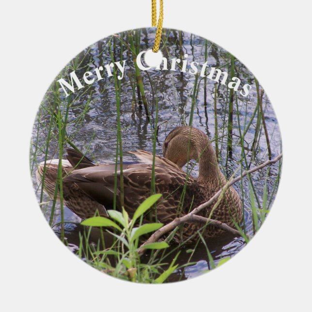 Adorno De Cerámica Predicación del pato en los carrizos (Frente)