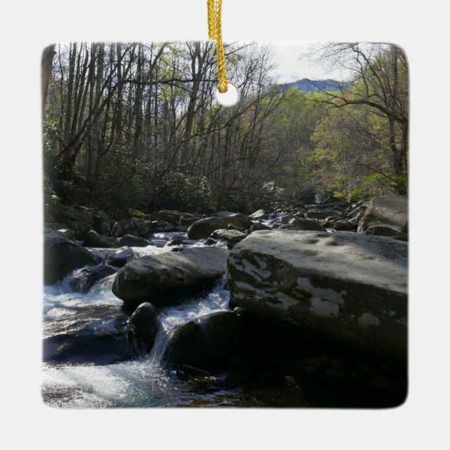 Adorno De Cerámica Primavera en el río Little Pigeon (Anverso)