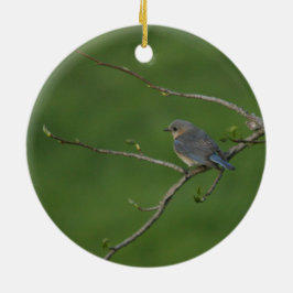 Adorno De Cerámica Primavera/Pascua: Bluebird masculino, Bluebird