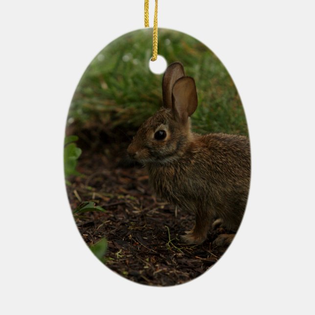 Adorno De Cerámica Primavera/Pascua: Polluelo, conejo (Atrás)