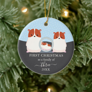Adorno De Cerámica Primera Navidad como familia de 3 hámster animal