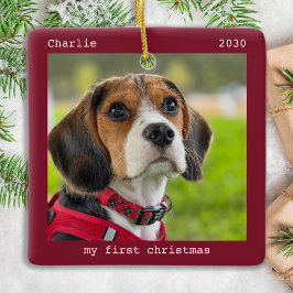 Adorno De Cerámica Primera Navidad Mascota personalizada Fotografía d