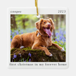 Adorno De Cerámica Primera Navidad Mínima En Mi Perro De Casa