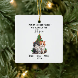 Adorno De Cerámica Primera Navidad Personalizada Como Familia De Tres