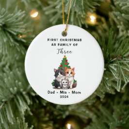 Adorno De Cerámica Primera Navidad Personalizada Como Familia De Tres