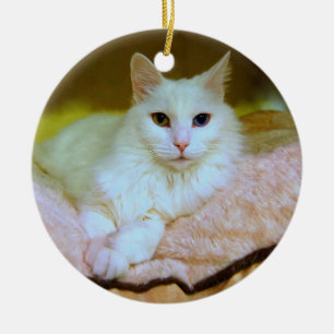 Adorno De Cerámica Princesa turca Cat Ornament del angora