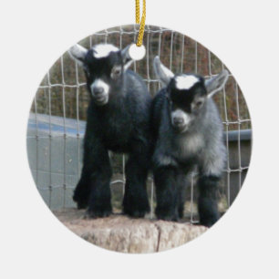 Adorno De Cerámica Problema doble