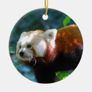 Adorno De Cerámica Producto del personalizar