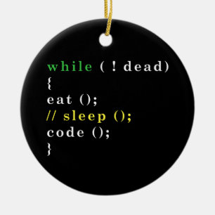 Adorno De Cerámica Programador Python de Ciencias de la Computación E