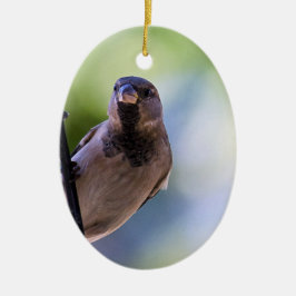 Adorno De Cerámica ¿Puedes esparrillar el momento?