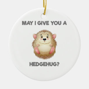 Adorno De Cerámica ¿Puedo Darte Un Hedgehug?