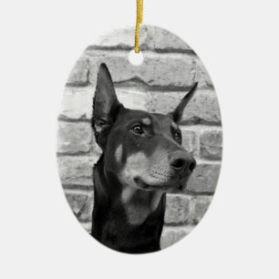 Adorno De Cerámica Puedo lamer tu cara