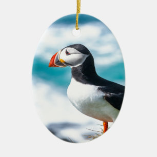 Adorno De Cerámica Puffin Fratercula Arctica en Látrabjarg, Islandia.