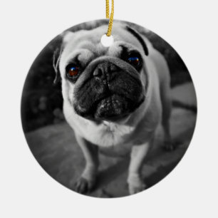 Adorno De Cerámica Pug guapo