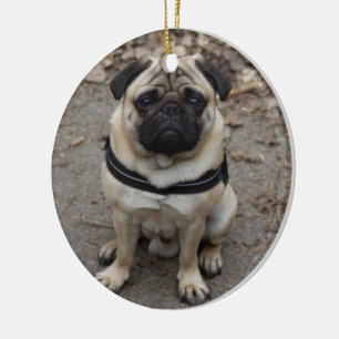 Adorno De Cerámica Pug muy serio