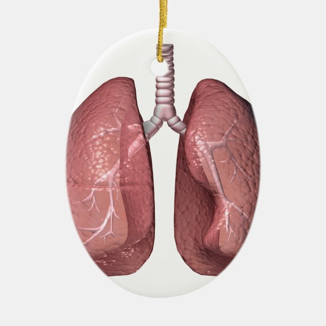 Adorno De Cerámica pulmones (Frente)