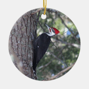Adorno De Cerámica Pulsación de corriente de Pileated
