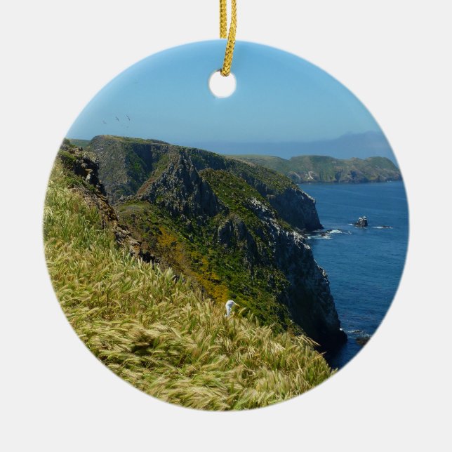 Adorno De Cerámica Punto de inspiración II de Anacapa en las Islas de (Frente)