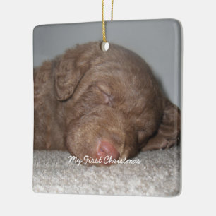 Adorno De Cerámica Puppy My First Christmas Photo Ornames