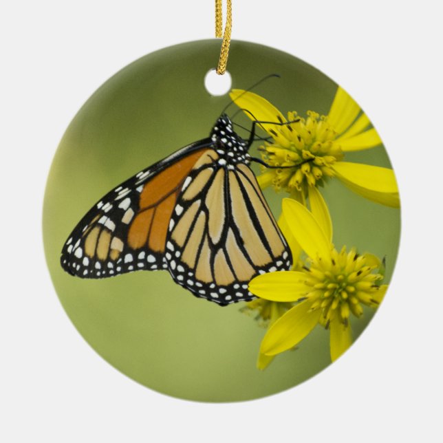 Adorno De Cerámica Pureza independiente (Frente)