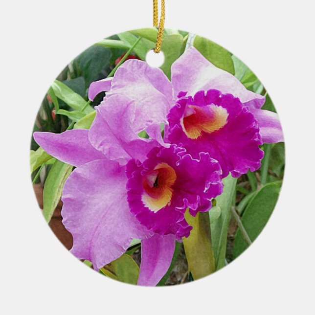 Adorno De Cerámica Purple Cattleya Orchids (Frente)