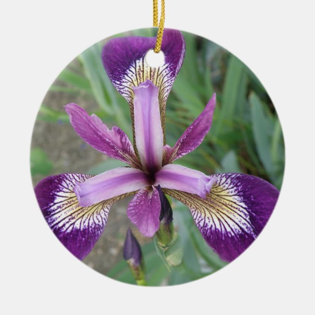 Adorno De Cerámica Purple Iris Personalizado Cumpleaños (Frente)