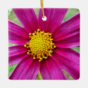 Adorno De Cerámica Púrpura Cosmos Wildflower