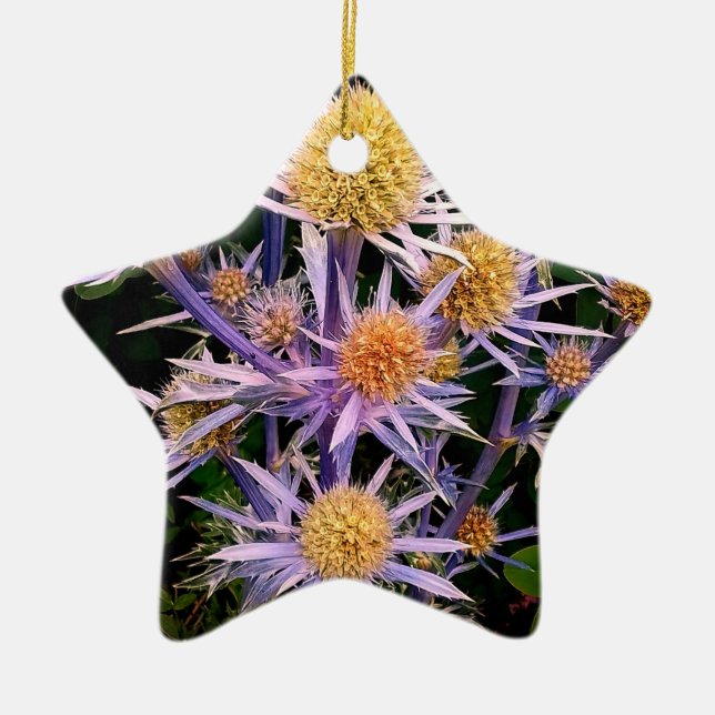 Adorno De Cerámica Púrpura silbido (Frente)