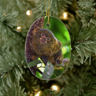 Adorno De Cerámica Pygmy Marmoset Magic
