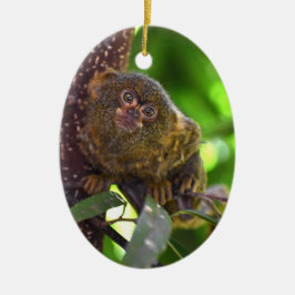 Adorno De Cerámica Pygmy Marmoset Magic