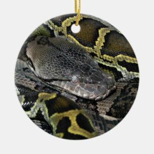 Adorno De Cerámica Python molurus bivittatus