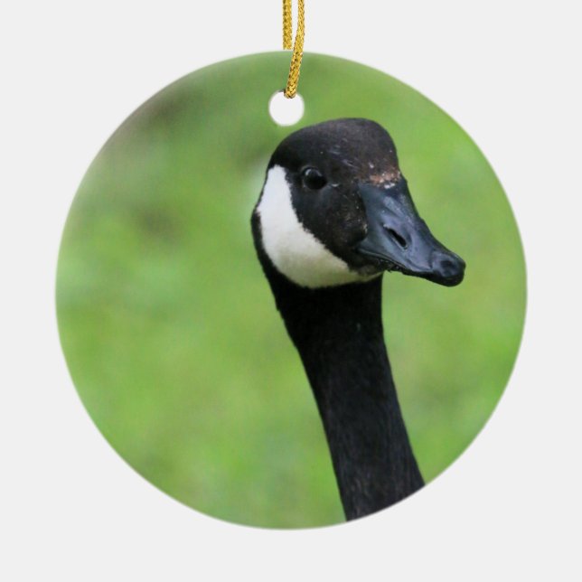 Adorno De Cerámica ¿Qué? (Frente)