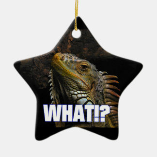Adorno De Cerámica ¿¡Qué!? Iguana