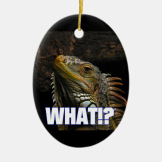 Adorno De Cerámica ¿Qué!? Iguana