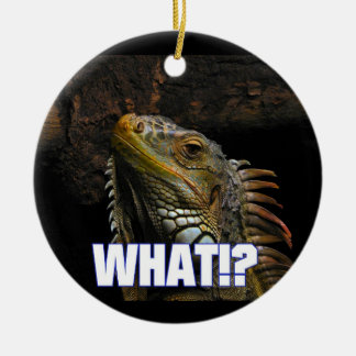 Adorno De Cerámica ¿¡Qué!? Iguana