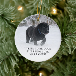 Adorno De Cerámica Querido Santa Bonito Intenté Portarme Bien Foto