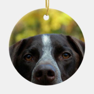 Adorno De Cerámica ¿Quién es el perro?