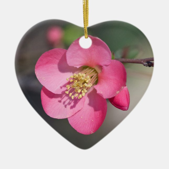 Adorno De Cerámica Quince de Flores Rosa Perfecto (Frente)