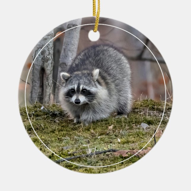Adorno De Cerámica Raccoon (Frente)