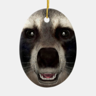 Adorno De Cerámica Raccoon