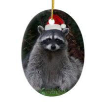 Raccoon lindo con vacaciones de Red Santa Hat