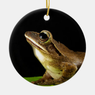 Adorno De Cerámica Rana encantadora en una hoja de nenúfar, Nenúfar